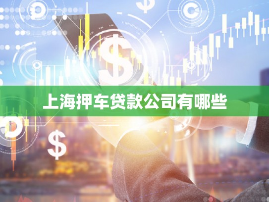 上海押車(chē)貸款公司有哪些