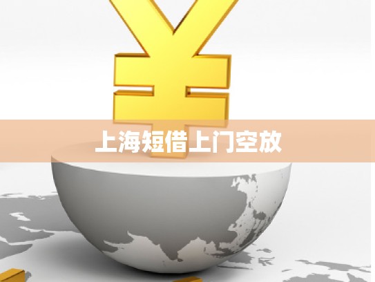 上海短借上門(mén)空放
