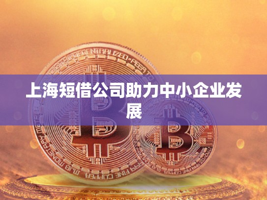 上海短借公司助力中小企業(yè)發(fā)展