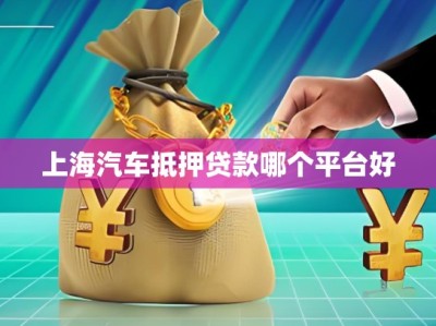 上海汽車(chē)抵押貸款哪個(gè)平臺(tái)好