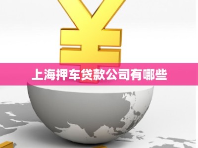 上海押車貸款公司有哪些
