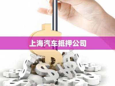上海汽車(chē)抵押公司