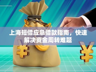 上海短借應(yīng)急借款指南，快速解決資金周轉(zhuǎn)難題